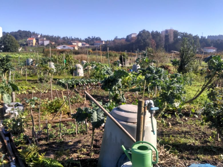 horta5