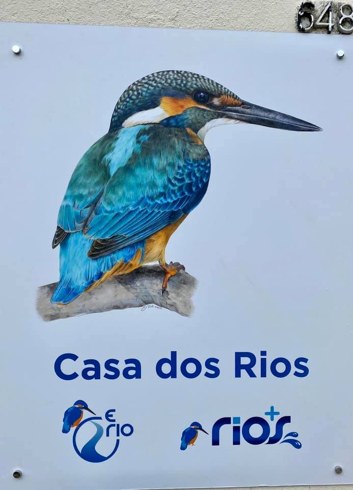 casa rio 4
