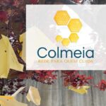 c105204e-cebb-42c5-9375-d3577a600235